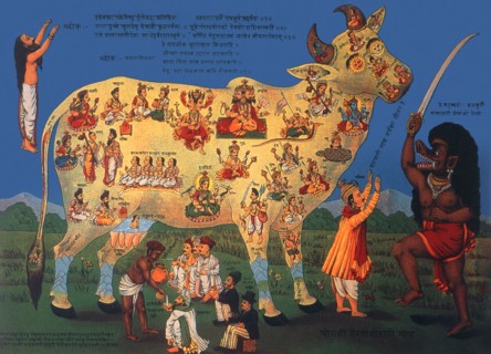 Chaurasi Devataon-wali Gai