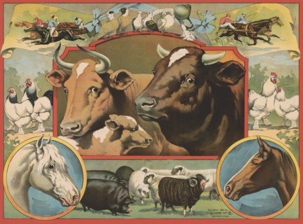 Cow Print #275