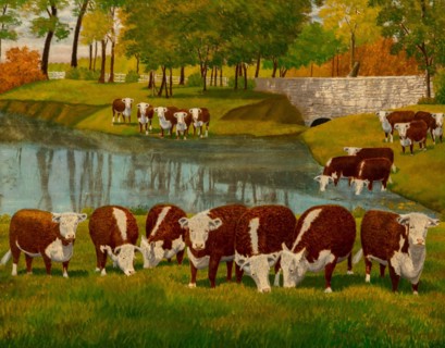Herfeord Cattle