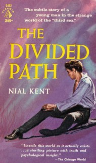 The Divide Path