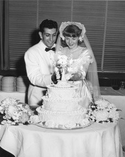 Newlyweds Cut Wedding Cake