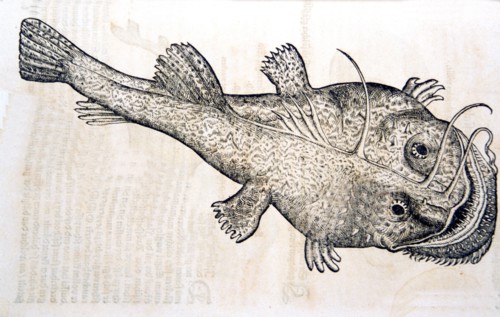 Illustration