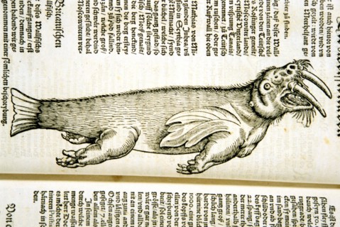 Illustration