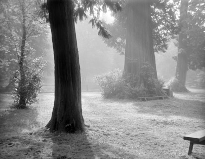 Photographie