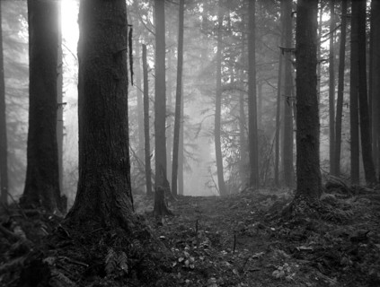 Photographie