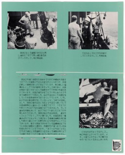 Propaganda Posters