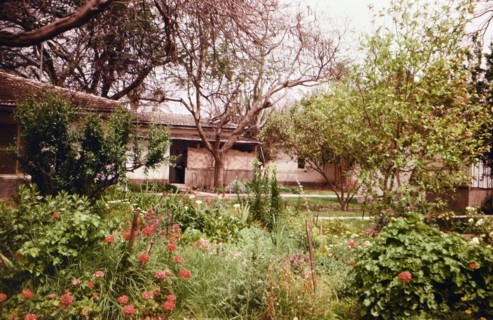 A view of a Israeli Kibutz in the 1960s