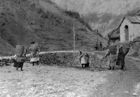 Carnia carriers, Timau