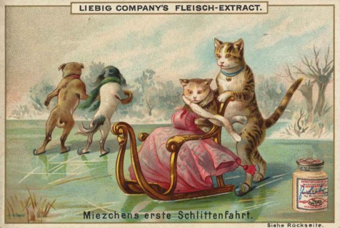 Series Of Funny Animal Depictions