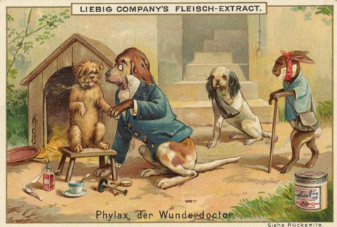 Series Of Funny Animal Depictions