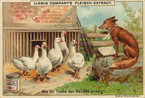 Series Of Funny Animal Depictions
