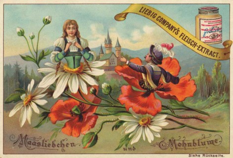 Flowers And Legends Series