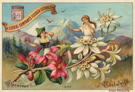 Flowers And Legends Series