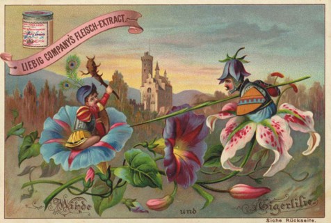 Flowers And Legends Series