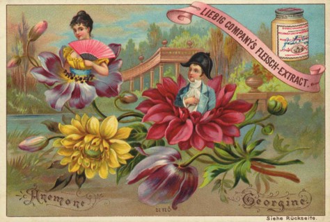 Flowers And Legends Series