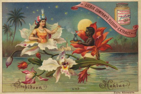 Flowers And Legends Series