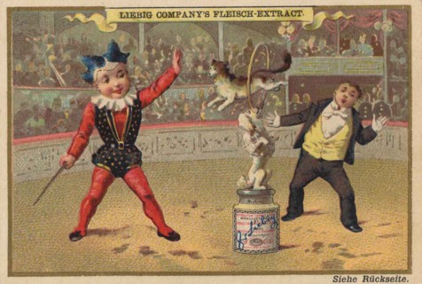 Picture Series Children As Artists In Circus