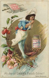 Series Of Pictures The Cook