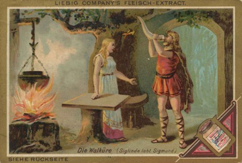 Picture Series Operas: Die Walküre