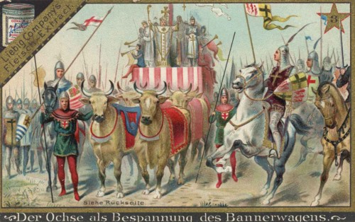 Series Of Pictures About The Oxen