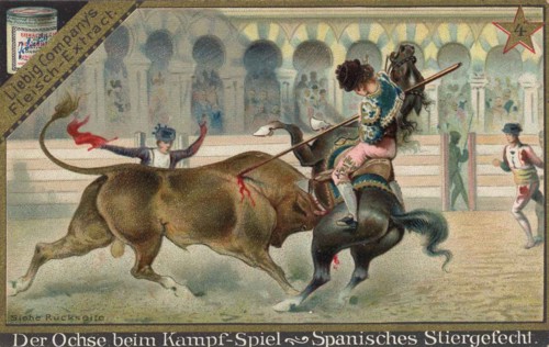 Series Of Pictures About The Oxen