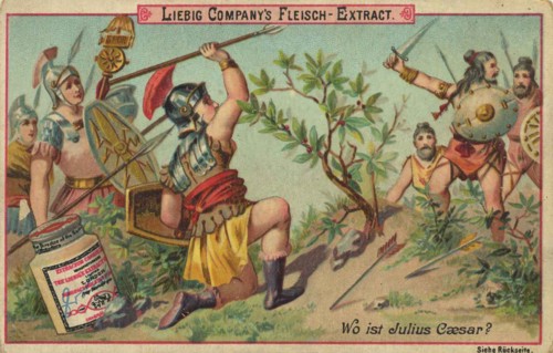Series Of Images The Search