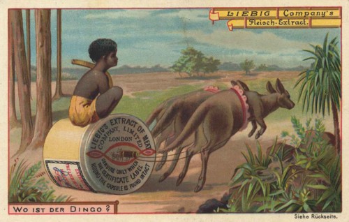 Series Of Images The Search