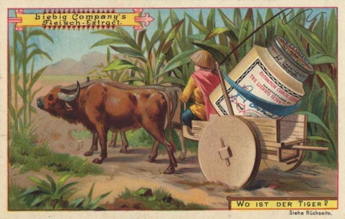 Series Of Images The Search