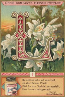 Picture Series Letters And Plants