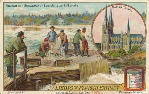 Series Of Pictures From Sweden
