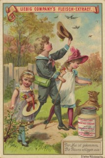 Series Proverbs With Children