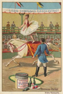 Series Horse Training In The Circus