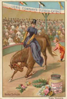 Series Horse Training In The Circus