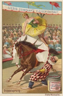 Series Horse Training In The Circus