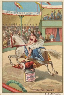 Series Horse Training In The Circus