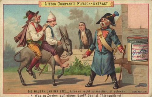 The Peasants And The Donkey