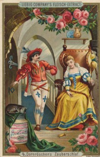 Series Fairy Tale Sleeping Beauty