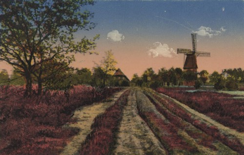 Landscape In The Lüneburg Heath With Heather And A Mill