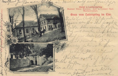 Greetings From The Lutterspring In The Elm