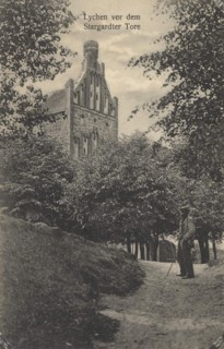 Lychen