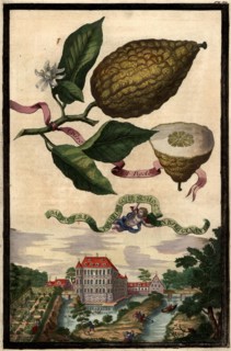 Cedro Col Pigolo And The Noble Castle Of Oberbürg