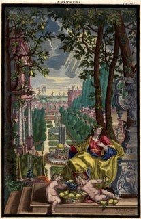 Arethusa
