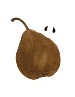 Pear Of The Frederika Bremer Variety