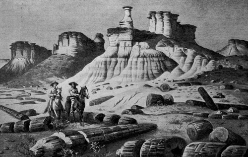 Riders In Petrified Forest In Arizona