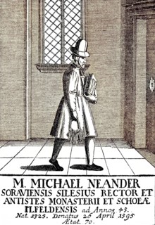 Schoolmaster In The 16Th Century By Michael Neander