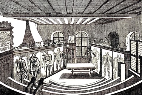 Anatomical Theater In The University / Anatomical Theater In The University Of Altdorf