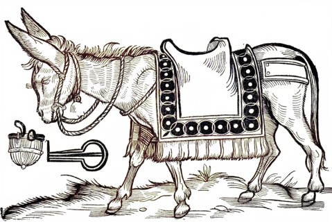Mock Picture Of A Donkey To Deter Dumb Children