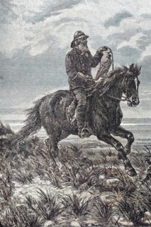 Hunting With The Falcon