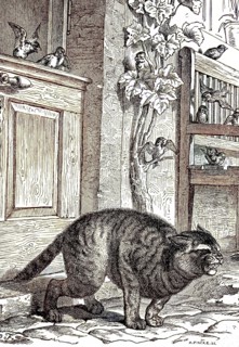 Cat Has Pinched The Tail In The Door