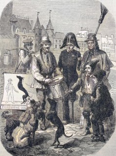 Street Circus